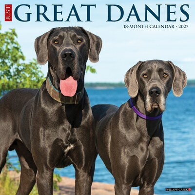 2027 Willow Creek Great Danes 12 x 12 Monthly Wall Calendar (60537)