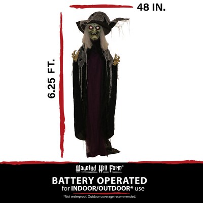 Haunted Hill Farm Life-Size Poseable Witch (HHWITCH-27FLSA)