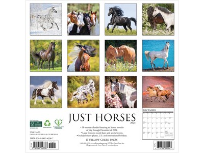 2025 Willow Creek Horses 12 x 12 Monthly Wall Calendar (43387)