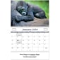 Custom Baby Animals Spiral Wall Calendar