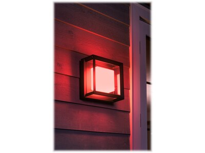 Philips Econic Hue LED Wall Outdoor Light, Glass  (1743830V7)