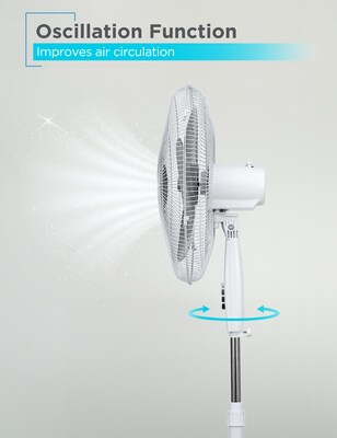 Black & Decker 18” Oscillating Pedestal Fan, 3-Speed, White (BFP18SXW)