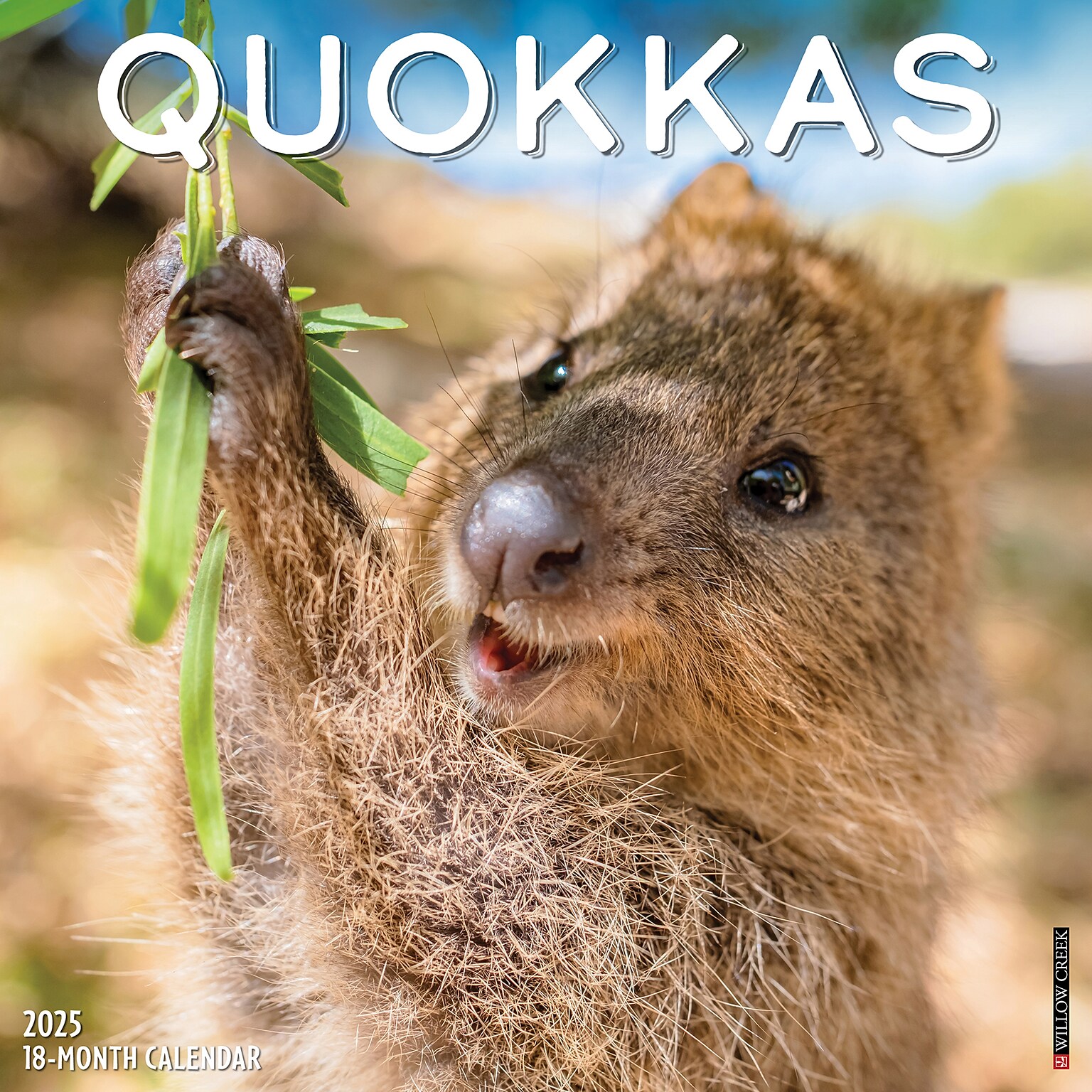2025 Willow Creek Calendar 12 x 12 Yearly Wall Calendar, Quokkas 2025 (46562)