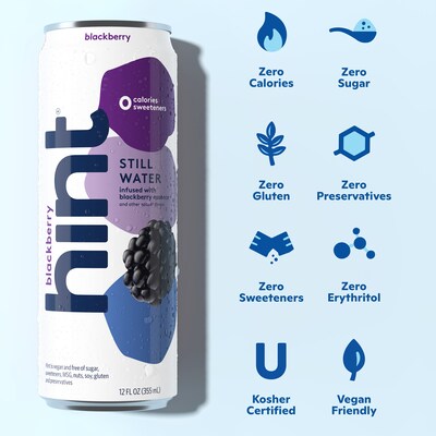 Hint Blueberry Lemon Flavored Purified Water, 12 fl. oz., 12 Cans/Pack (HINTBLULEMCAN12)