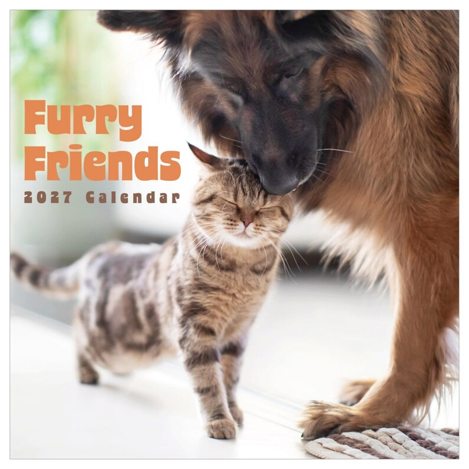 2027 TF Publishing Furry Friends 12 x 12 Monthly Wall Calendar (27-1011)