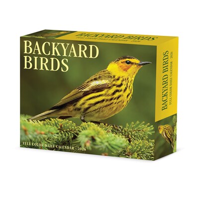 2026 Willow Creek Backyard Birds 6.2" x 5.4" Day-to-Day Calendar (53935)