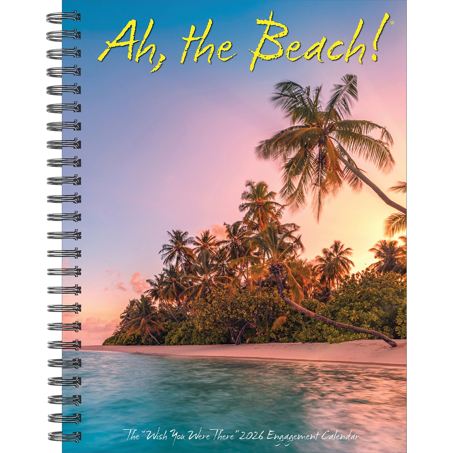 2026 Willow Creek Ah, The Beach! 6.5 x 8.5 Desk Calendar (54550)