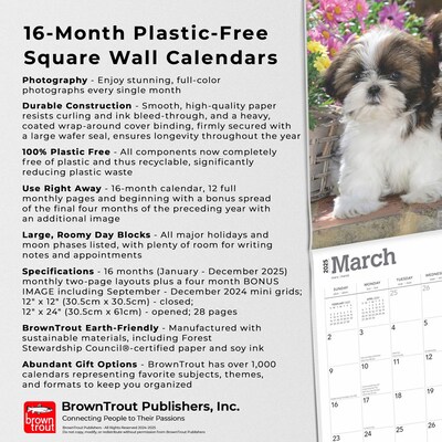 2025 BrownTrout Shih Tzu Puppies 12" x 24" Monthly Square Wall Calendar, (9781975477752)