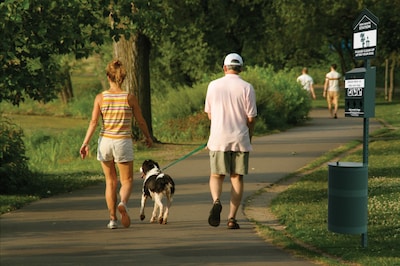 Furloo Steel Outdoor Pet Waste Station Kit with Roll Bag Dispenser, 11.5 Gallon, Green (FLO1R-S-G)