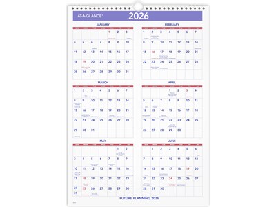 2025 AT-A-GLANCE 12 x 17 Monthly Wall Calendar, (PM2-28-25)