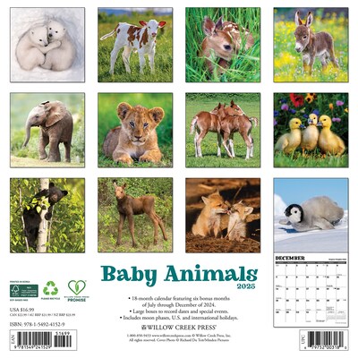 2025 Willow Creek Baby Animals 12 x 12 Monthly Wall Calendar (41529)