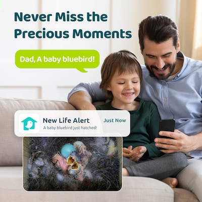 Birdfy Nest Ebony Birdhouse with Camera, Solar Panel and AI by Subscription, Multicolored (EPPAMBNI8802110)