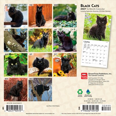 2027 BrownTrout Black Cats 7 x 7 Monthly Wall Calendar, Assorted Colors (9798330709700)