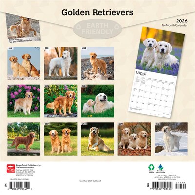 2026 BrownTrout Golden Retrievers 12 x 12 Monthly Wall Calendar (9798330703494)