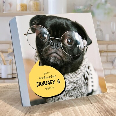 2027 TF Publishing Dog A Day 5.25 x 5.25 Daily Day-to-Day Calendar, Multicolored (27-3008)