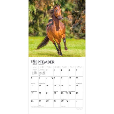 2027 BrownTrout Horse Lovers 7" x 7" Monthly Wall Calendar (9798330709823)