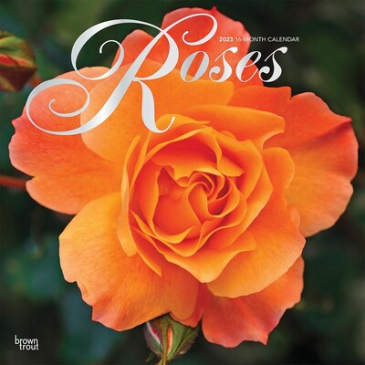 2023 BrownTrout Roses 12 x 12 Monthly Wall Calendar (9781975452629)