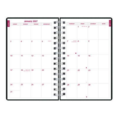 2027 Brownline DuraFlex 8" x 5" Daily & Monthly Appointment Book, Poly Cover, Black (CB634V.BLK-27)