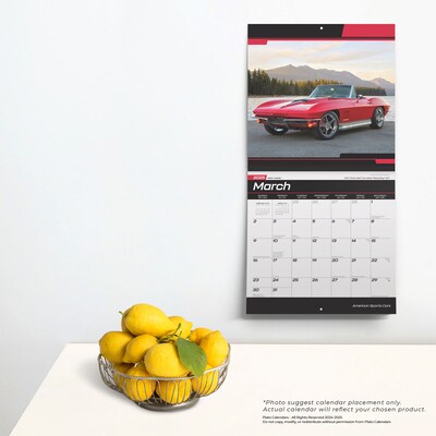 2025 Plato American Sports Cars 12" x 12" Monthly  Wall Calendar (9781975480103)