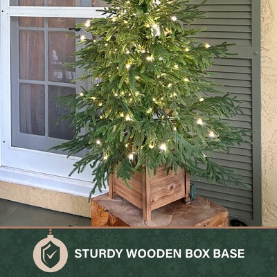 Fraser Hill Farm 4' Real Feel Pre-Lit Artificial Christmas Trees (FFRF048P-5MGR)