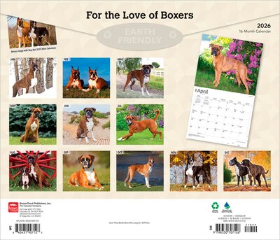 2026 BrownTrout For the Love of Boxers 14 x 12 Monthly Wall Calendar (9798330707126)