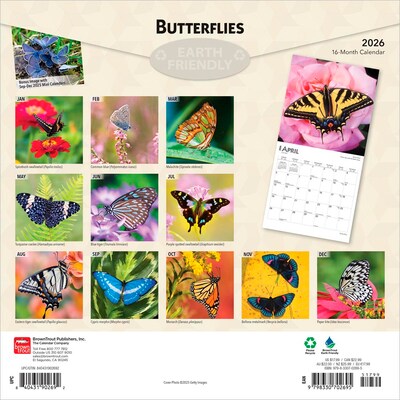 2026 BrownTrout Butterflies 12 x 12 Monthly Wall Calendar (9798330702695)