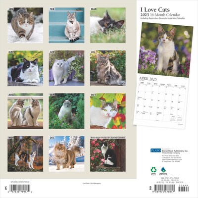 2025 Plato I Love Cats 12 x 12 Monthly  Wall Calendar (9781975478957)