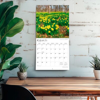 2026 BrownTrout Illinois Wild & Scenic 12" x 12" Monthly Wall Calendar (9798330703845)