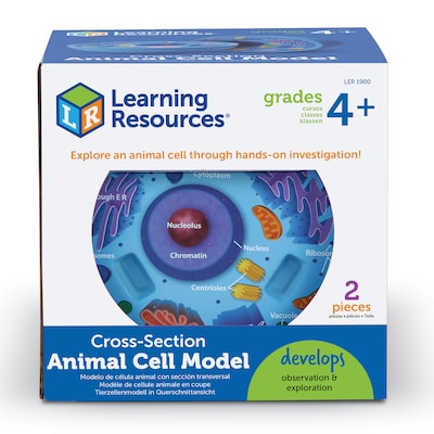 Learning Resources Cross Section Models, Animal (LER1900)