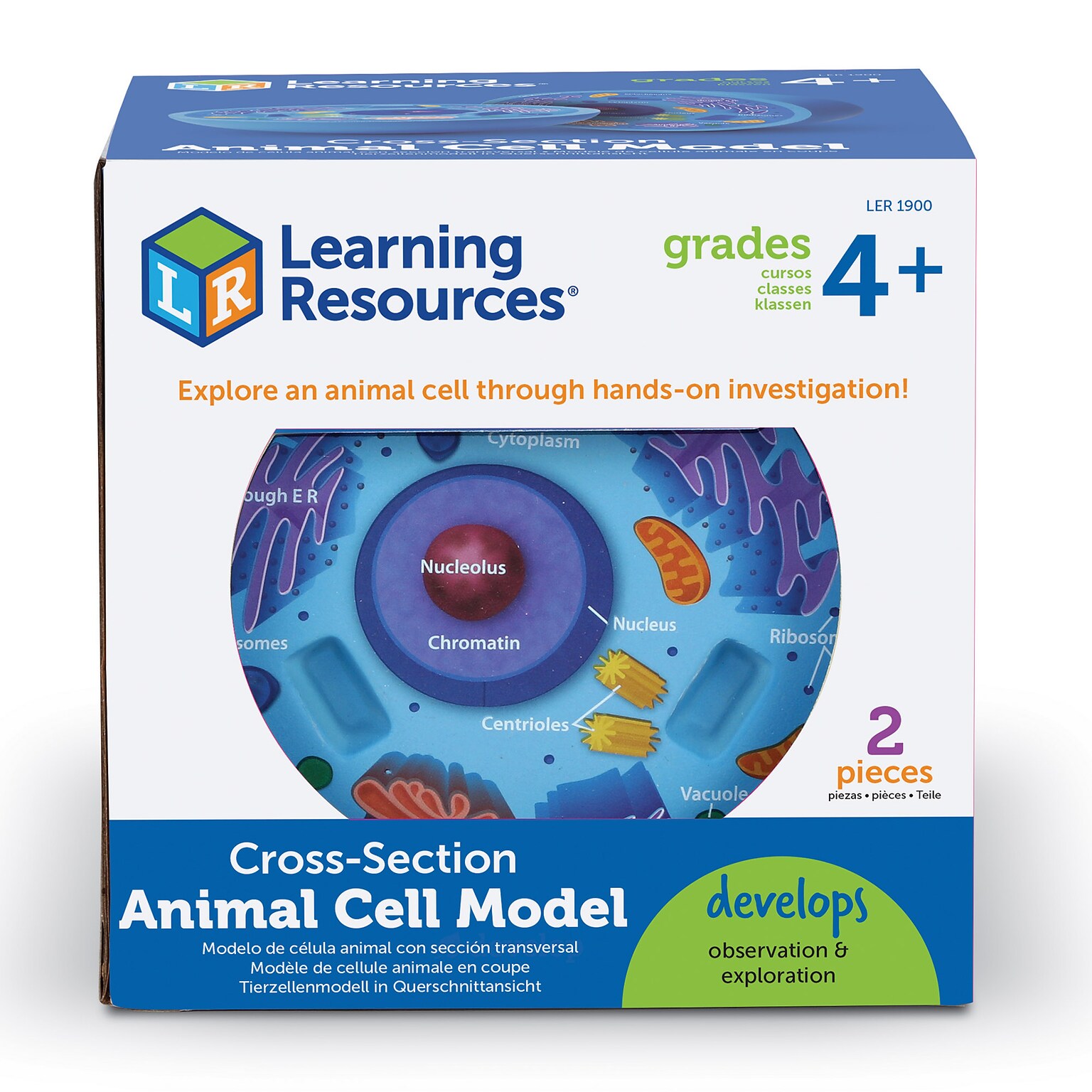 Learning Resources Cross Section Models, Animal (LER1900)