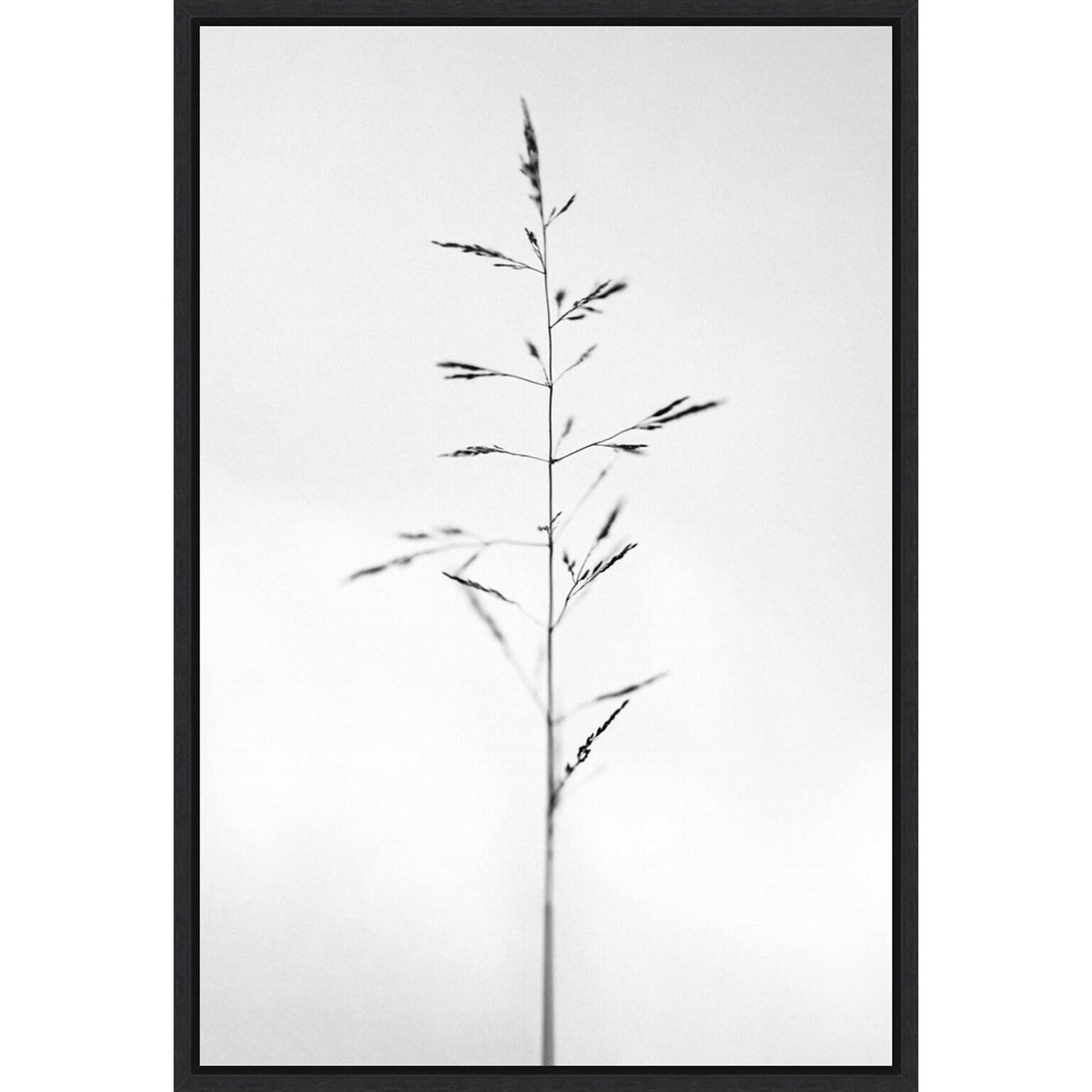 Amanti Art Amid the Flowers 51 by Teis Albers Framed Canvas Wall Art Print, 23 x 33 (A42677457054)