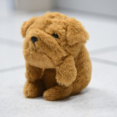 Bouncy Bands Dog Posture Pal, Brown (BBAPTDOG)