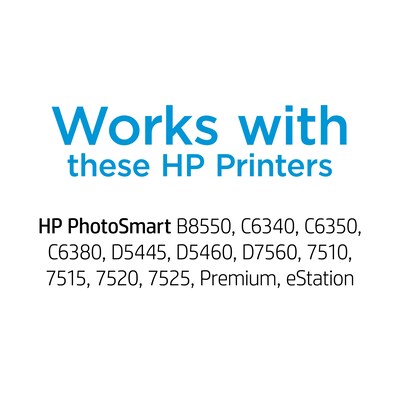 HP 564 Photo Ink Standard Yield Ink Cartridge, Prints Up to 130 Pages (CB317WN#140)