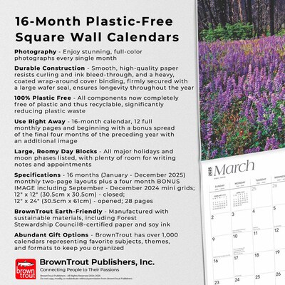 2025 BrownTrout Yosemite 12" x 24" Monthly Square Wall Calendar, (9781975475994)