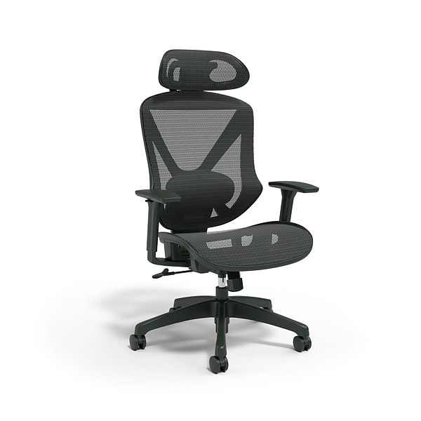 Union & Scale™ FlexFit™ Dexley Ergonomic Mesh Swivel Task Chair, Black (UN56946)