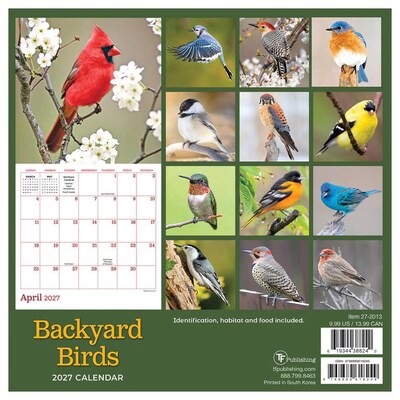 2027 TF Publishing Backyard Birds 7" x 7" Monthly Wall Calendar, Multicolored (27-2013)