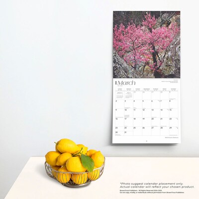 2025 BrownTrout Oklahoma Wild & Scenic 12" x 12" Monthly Wall Calendar (9781975475482)