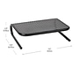 Mind Reader Monitor Stand and Ventilated Laptop Riser, Black (METMONST-BLK)