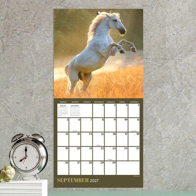 2027 TF Publishing Horses 7" x 7" Monthly Wall Calendar, Multicolored (27-2001)