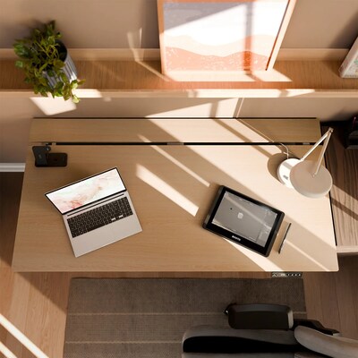Arozzi Arena Nordico 55"W Electric Adjustable Standing Desk, Birch (ARENANRDWTBCH)