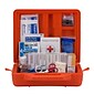 First Aid Only Weatherproof Hard Plastic First Aid Kit, ANSI A+/ANSI 2015, 50 People, 215 Pieces, Re
