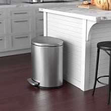 iTouchless SoftStep Semi-Round Stainless Steel Step Trash Can with Hinged Lid, 5.02 Gallon (IP05DSS)