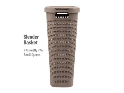 Mind Reader Plastic Laundry Hamper with Lid, Brown Metallic, 2/Set (40HAMP2PK-BRNM)