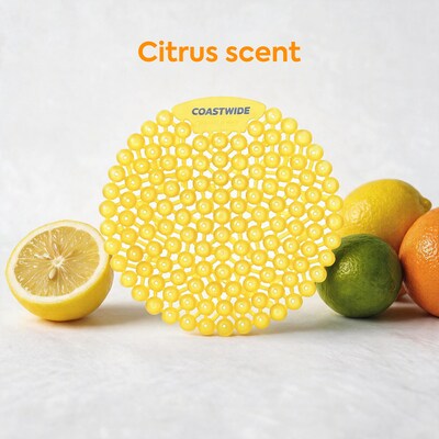 Coastwide Professional Urinal Screen, Citrus Scent, 10/Box