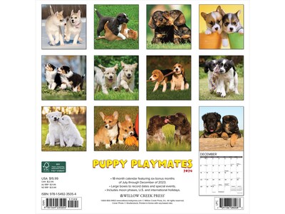 2024 Willow Creek Puppy Playmates 12" x 12" Monthly Wall Calendar (35054X)