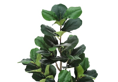 Monarch Specialties Inc. 49" Artificial Fiddle Tree in Pot (I 9517)