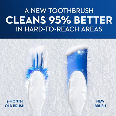 Oral-B Manual Indicator Contour Clean Soft Bristle Toothbrush, 72/Carton (10998CT)