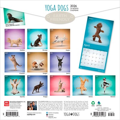 2026 BrownTrout Yoga Dogs 12 x 12 Monthly Wall Calendar (9798330701933)
