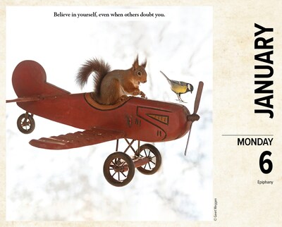 2025 Willow Creek Gettin' Squirrelly  6.2" x 5.4" Day-to-Day Calendar, Multi (40850)
