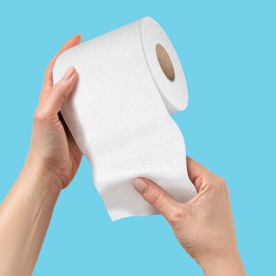 Perk™ Soft & Strong Mega Toilet Paper, 2-ply, White, 24 Rolls/Case (PK63405)